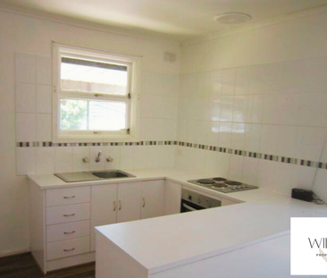 Freshly Painted with a shed! - Photo 3