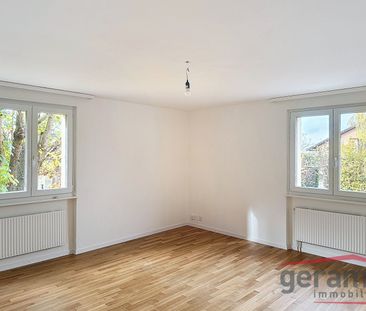 Appartement 4.5 pcs au rez - Photo 6