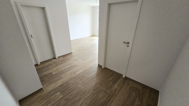 Wohnung, 3 Zimmer (56,39 m²) - Photo 1