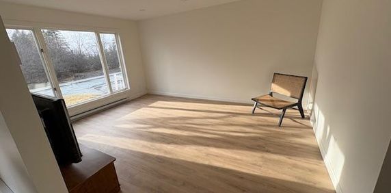 GRAND 4 1/2 RÉNOVÉ - 1 MOIS GRATUIT - DISPO 1er MAI - REZ-DE-CHAUSSÉE - FACE À UN PARC - Photo 2