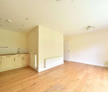 Mill Park Gardens, Mildenhall, Bury St. Edmunds, Suffolk, IP28 - Photo 6