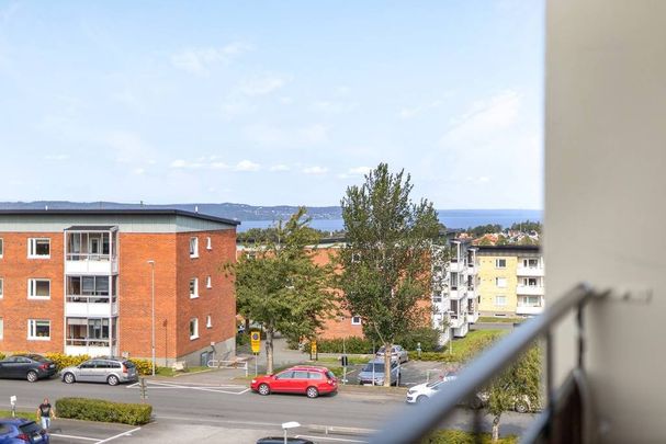 Törnrosgatan, Jönköping - Foto 1