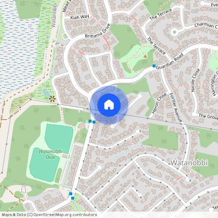 11 Fauna Place, NSW 2259, Watanobbi