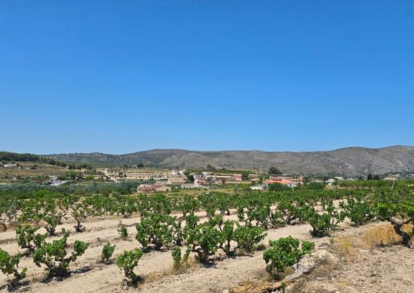 WIDE ESTATE FOR RENT IN TEULADA FOR LONG TERM