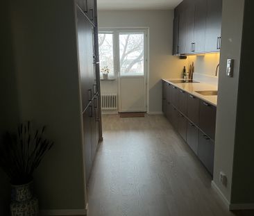 Timotejvägen, Umeå - Foto 4