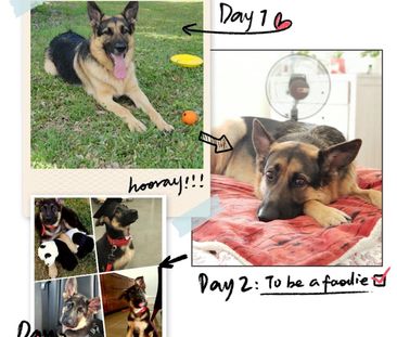 Mango Hill - Photo 6