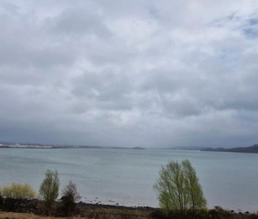 534 The Heron, The Sanctuary, Jacob'S Island, Mahon, Co. Cork - Photo 2