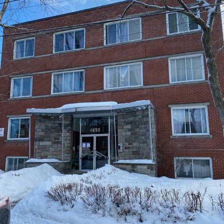 Newly Renovated Three Bedroom Apartment for Rent! - Photo 4