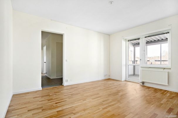 Björnvägen 12 - Foto 1