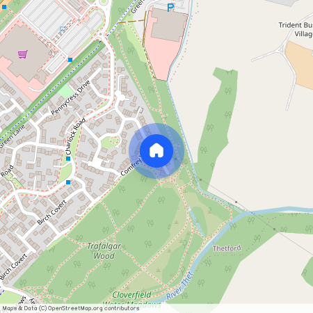Chervil Walk, Thetford, IP24
