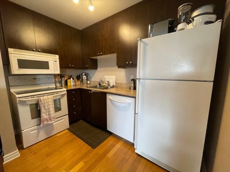 3465 Chemin de la Côtes-des-Neiges, #101 - Photo 4