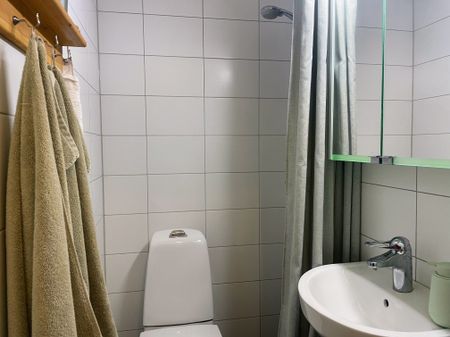 Eslövsgatan, Malmö - Photo 3