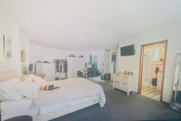 Central Hataitai 4BR includes studio. Pets ok - Photo 1