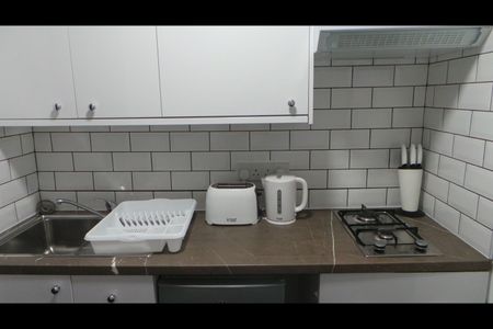 Studio Flat, Paisley Rd West, G51 - Photo 3
