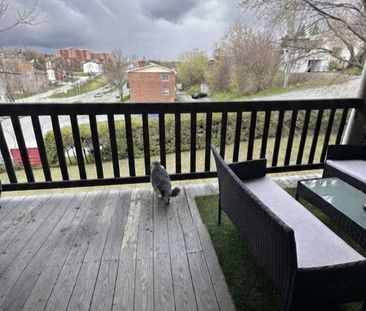 4 1/2 à Louer (MOIS D'AOÛT GRATUIT) - Photo 2