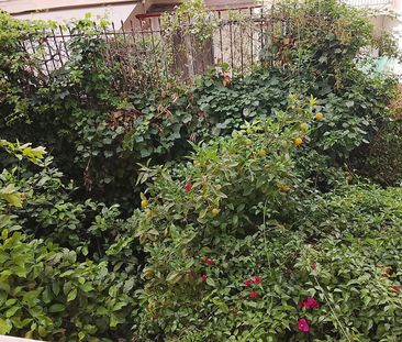 Studio/Γκαρσονιέρα για ενοικίαση Τουρκοβούνια (Πολύγωνο - Τουρκοβού... - Photo 3