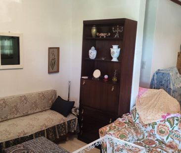 Μονοκατοικία για ενοικίαση Σωζόπολη (Καλλικράτεια) - Photo 1