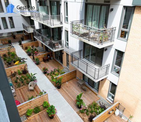 175 St-Vallier Est – Le Gecko - Photo 3