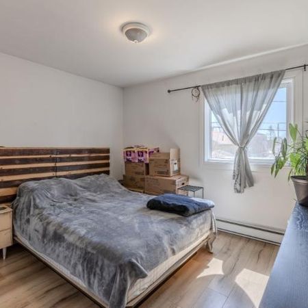 Appartement 4 ½ à louer Lévis novembre 2025 - Photo 4