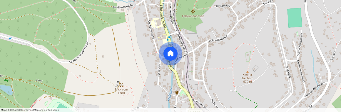 Lauschaer Straße 6, 96523 Thüringen - Steinach