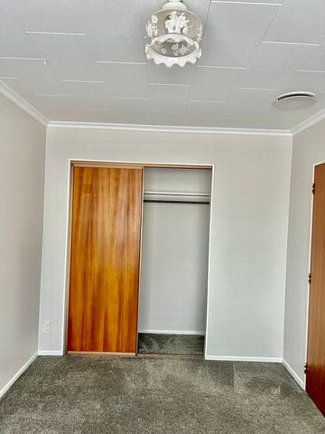 Spacious (80sqm) Bdrm Unit Central to Upper Hutt - Photo 5