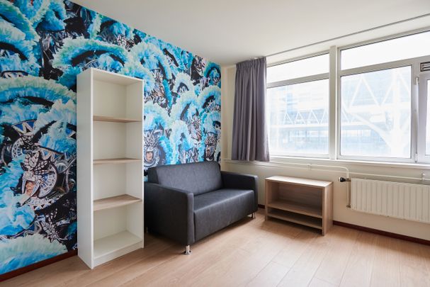 Te huur: gemeubileerde studio's voor studenten in Leiden - Foto 1