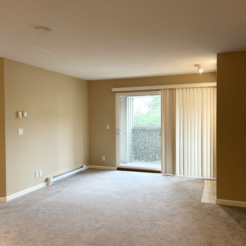 APRIL TERRACE - 315 - AT315 - Photo 1