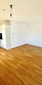 Moderne 1-Zimmer-Wohnung mit Balkon + Gym + Sauna -direkt bei U2-Donaumarina in 1020 Wien zu mieten - Foto 1