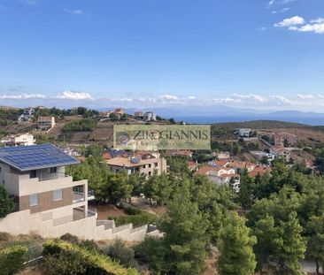 Μεζονέτα 253 τ.μ. προς ενοικίαση - Photo 3