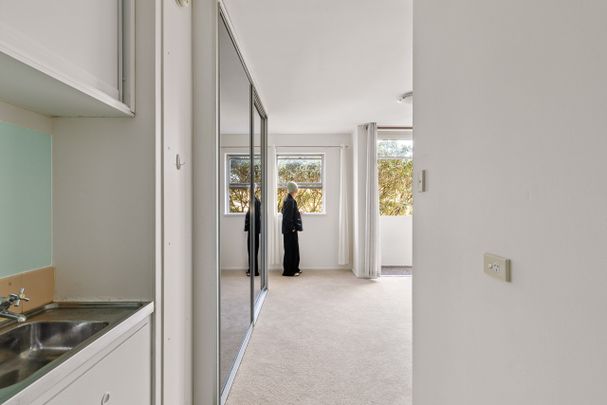 44/204 Jersey Road, Woollahra NSW 2025 - Studio For Rent | Domain - Photo 1