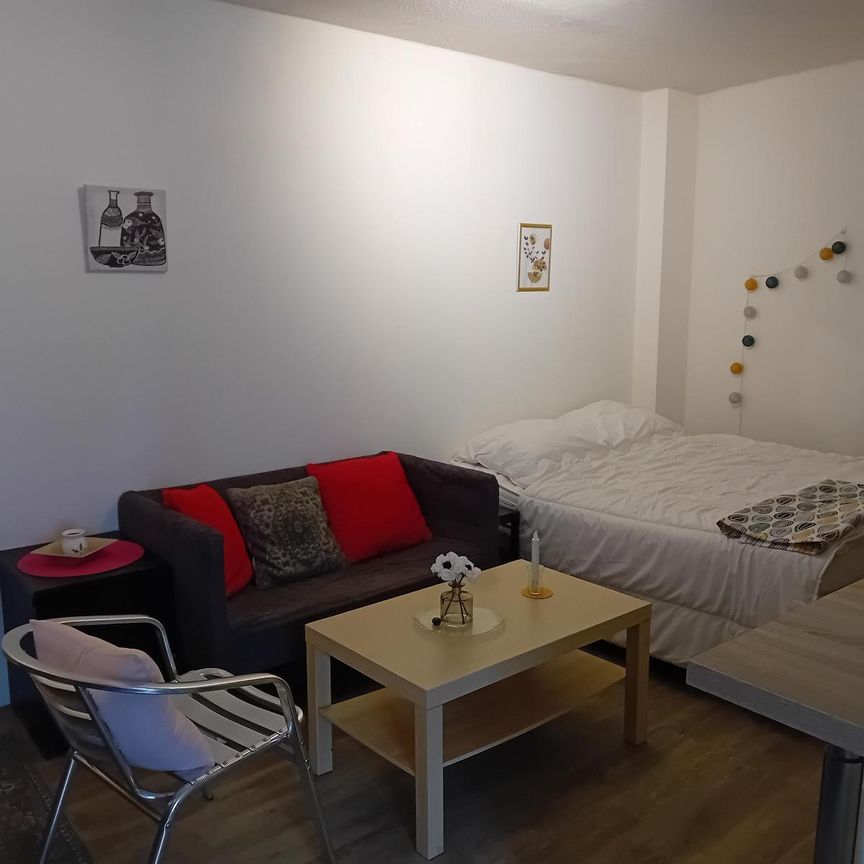 Location Appartement 1 pièce 21m² NANTES 44100 - Photo 1