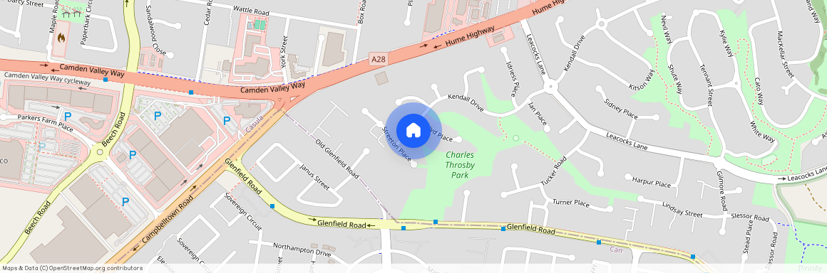 161 Kendall Drive, NSW 2170, Casula