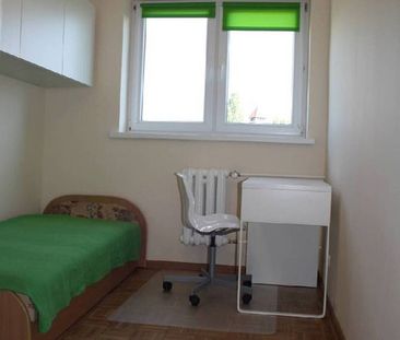 Wrocław, Wrocław-Krzyki, Gliniana - Photo 3