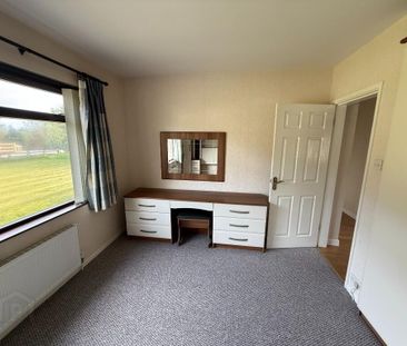 15 Cockhill Road, Lisburn, BT27 5RS - Photo 4
