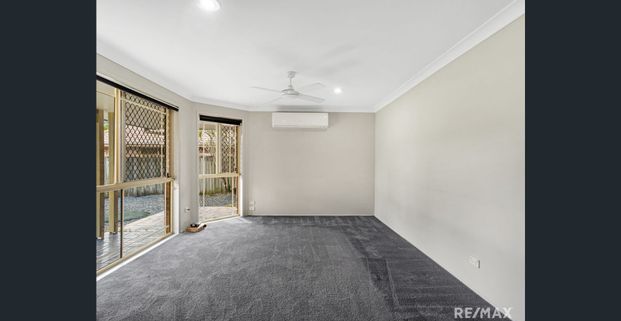 The One Everybody Wants... Be Quick ! - Photo 1