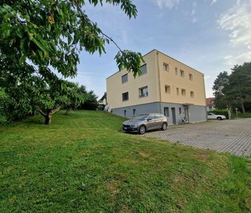 GROUND FLOOR WITH LARGE GARDEN - Photo 4