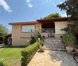 Μονοκατοικία για ενοικίαση - Ανάβυσσος - Photo 4