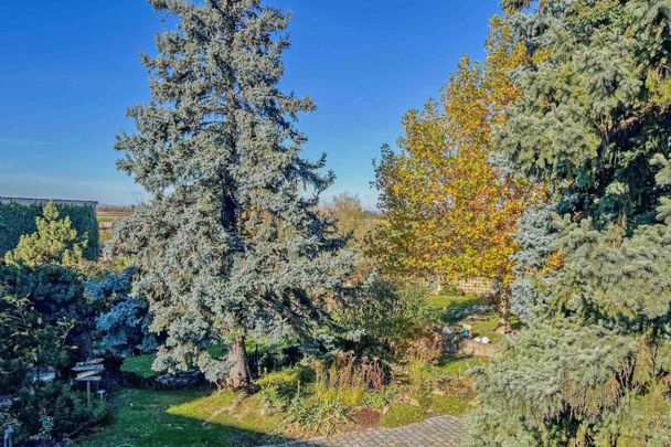 Erstbezug! Moderne 2-Zimmer Mietwohnung Nähe Bahnhof Tullnerfeld - Foto 1