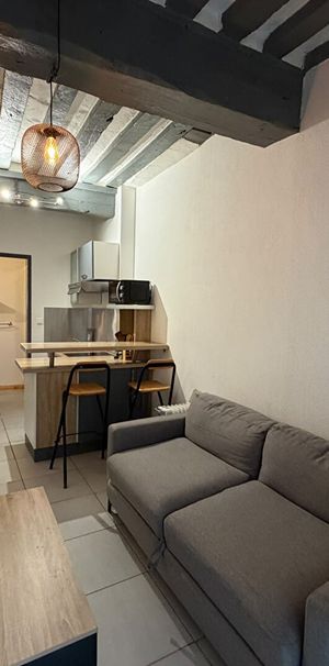Location Appartement 1 pièce 17m² - Photo 1