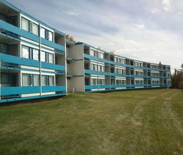 Only 15 min walk to U of C, SAIT & Foothills Hospital - Photo 4