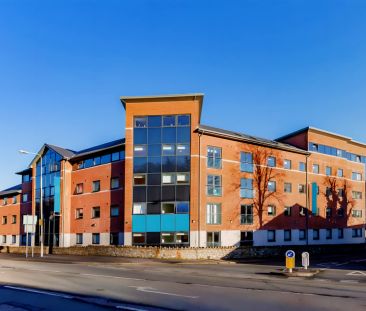 Silver Studio - Photo 6