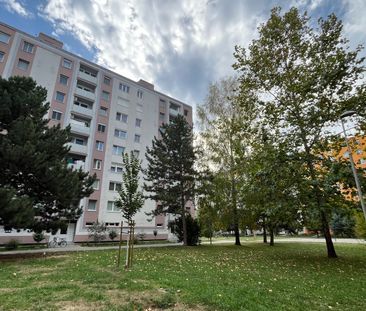Jednoizbový byt po kompletnej rekošntrukcii sídlisko A. Trajan – Fotografia 5