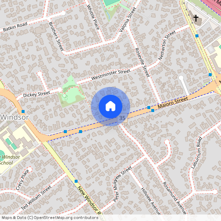 46A Maioro Street, New Windsor, Auckland City