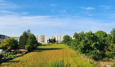 Location Appartement 3 pièces 82m² BISCHHEIM 67800 - Photo 2