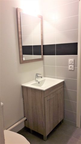 Location Appartement 1 pièce 25m² ISLE 87170 - Photo 5