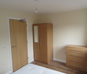 Great Apartment, 101a Rugby Avenue, Queens Quarter, Belfast, BT7 1RE - Photo 4