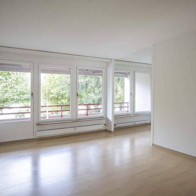 Gemütliche Wohnung in Aesch - Photo 1