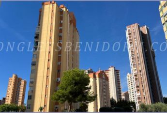REF. 1837-Benidorm Rincon-1.500€