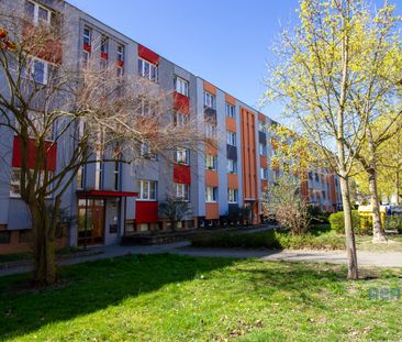 Pronájem bytu 2+kk 50 m² - Photo 5