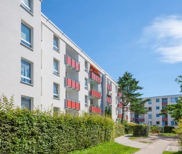 Hier gibt´s einen neuer Laminatboden vor Ihrem Einzug im Januar 2026 - Photo 2